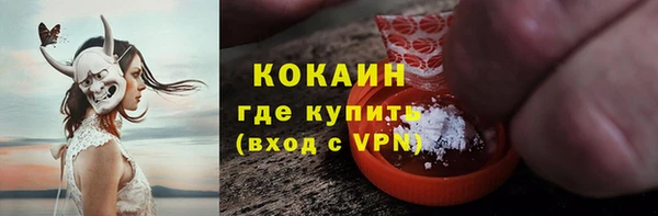 амф Гусев
