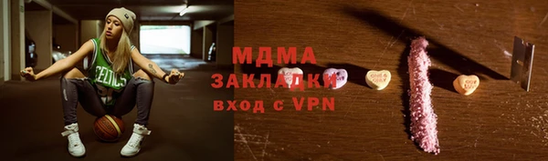 амф Гусев