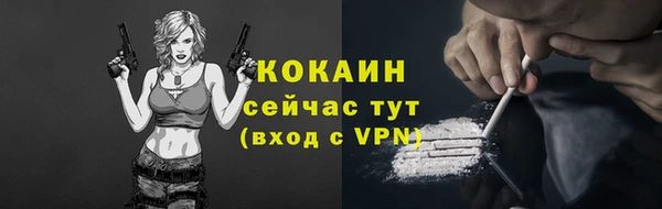 амф Гусев