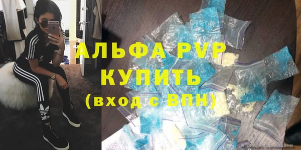 амф Гусев