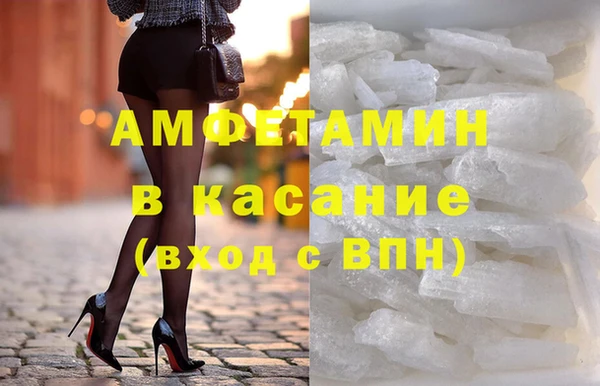 амф Гусев