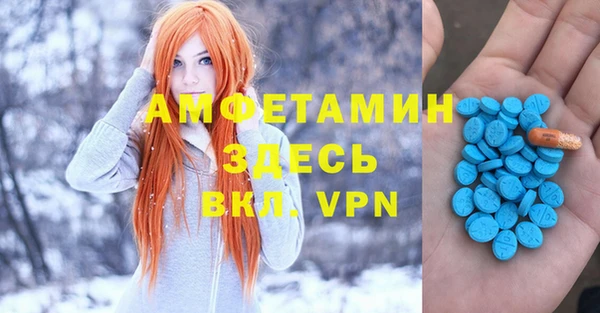 амф Гусев
