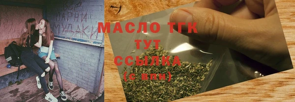 амф Гусев