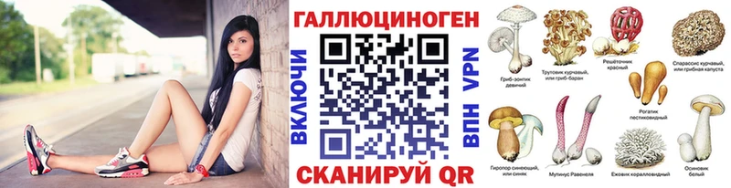 продажа наркотиков  Можайск  darknet клад  Галлюциногенные грибы прущие грибы 