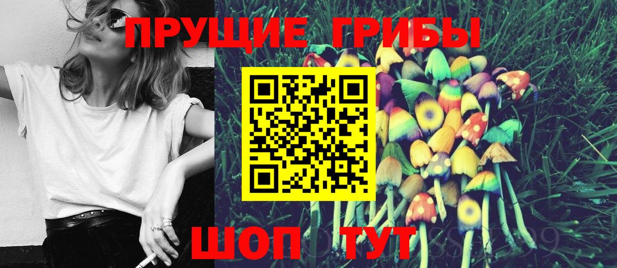 Псилоцибиновые грибы мухоморы Можайск