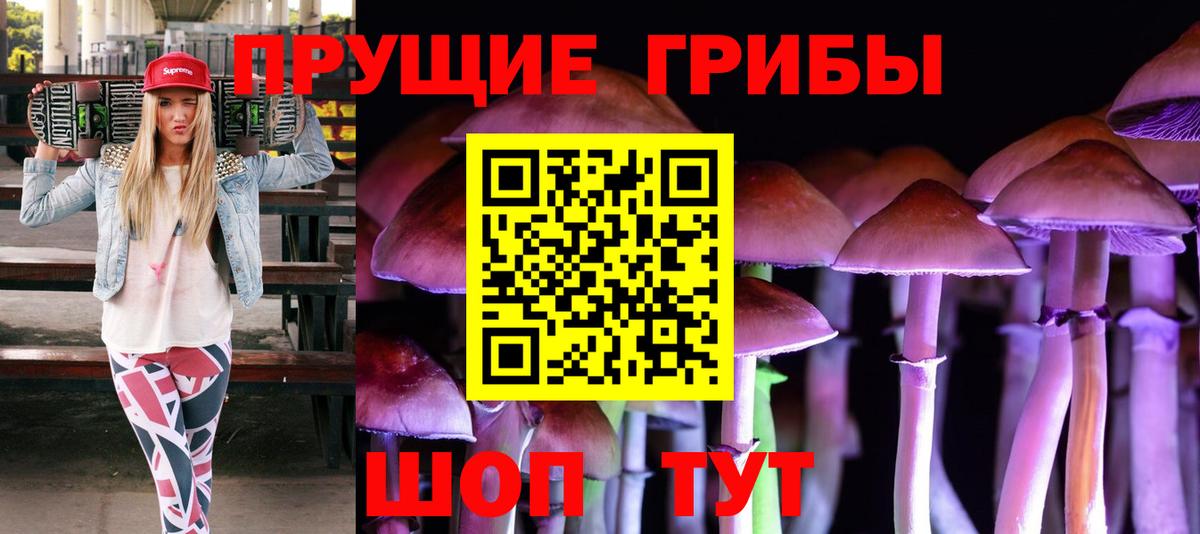 Псилоцибиновые грибы Psilocybe  Вход с VPN  Можайск  Галлюциногенные грибы Cubensis 