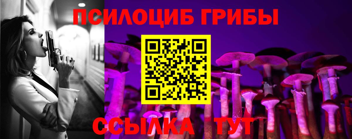 Галлюциногенные грибы Cubensis Можайск